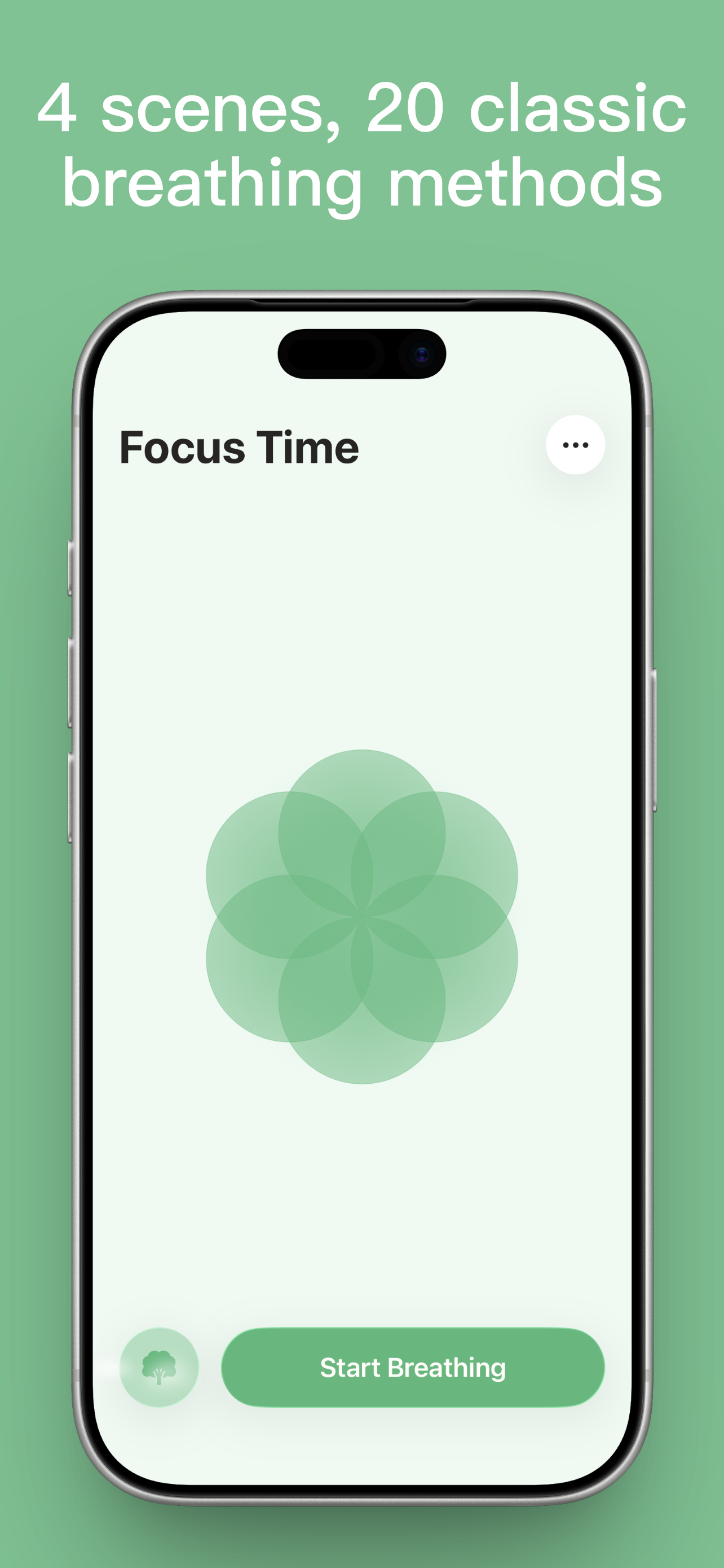 Focus